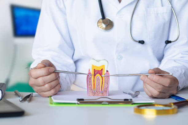 Best Emergency Dentist for Knocked-Out Tooth in Springtown, TX